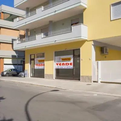 S.angelo247